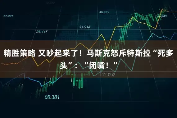 精胜策略 又吵起来了！马斯克怒斥特斯拉“死多头”：“闭嘴！”